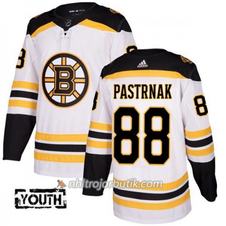 Barn Ishockey Boston Bruins Tröja David Pastrnak 88 Adidas 2017-2018 Vit Authentic